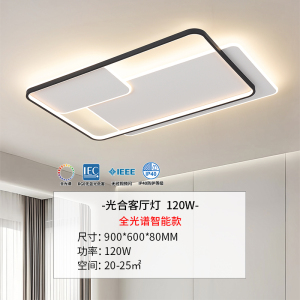 雷士照明吸顶灯2026新款主客厅灯智能卧室简约灯具全屋套餐黑色