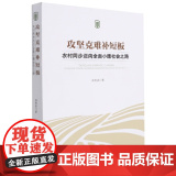 攻坚克难补短板：农村同步迈向全面小康社会之路