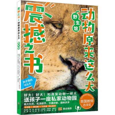 预售 B震撼之书动物原来这么大礼盒装第二辑全4册海洋昆虫脚印儿童科普