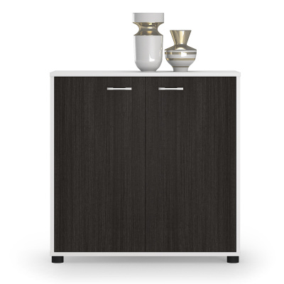 臻远 ZY-W-0808办公文件柜矮柜档案柜资料储物柜0.8米高