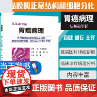 从基础学起 胃癌病理 从胃黏膜正常结构以及分化直胃活检诊断GROUP分型之路 日 塚本彻哉 宫健 刘石 张黎 胃内镜学诊