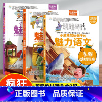 疯狂的语文课3册 [正版]3册疯狂的语文课 写给孩子的魅力语文 千变万化的汉字+博大精深的汉语+多彩的文学之旅四五六七年