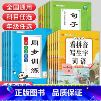 单本]组词造句 一年级上 [正版]看拼音写词语一二三四五六年级上册下册小学语文拼音拼读同步训练生字注音组词造句仿写句子专