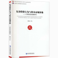 音像复杂行为与资本市场异象——计算实验金融研究隆云滔