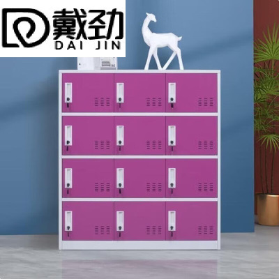 戴劲多门更衣柜带锁工具柜教室学生书包柜多格子收纳柜 白红十二门