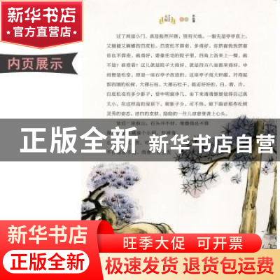 正版 背影 朱自清著 南京大学出版社 9787305233623 书籍