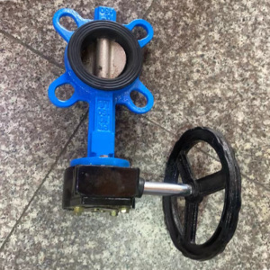 美尔斯 进气法兰阀门 DN65 <1个>