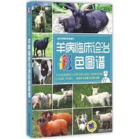 羊病临床诊治彩色图谱