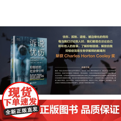 诉说忧伤 戴维·A.卡普 著 社会科学