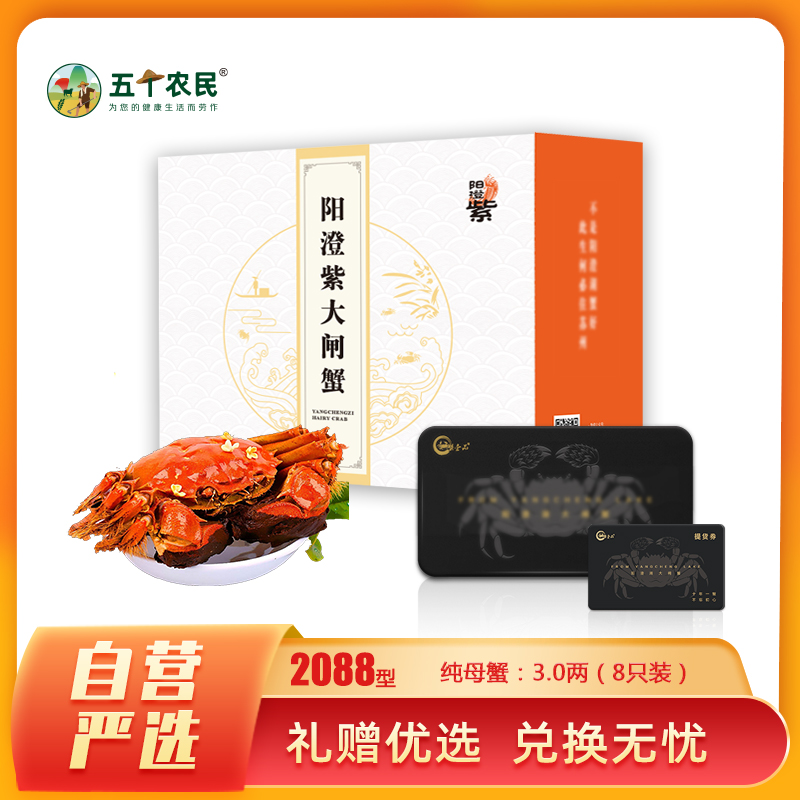 [礼券]阳澄紫牌 苏州精品大闸蟹礼券2088型 纯母蟹3.0两/只 8只 去绳净重 螃蟹礼盒 礼品卡 海鲜水产