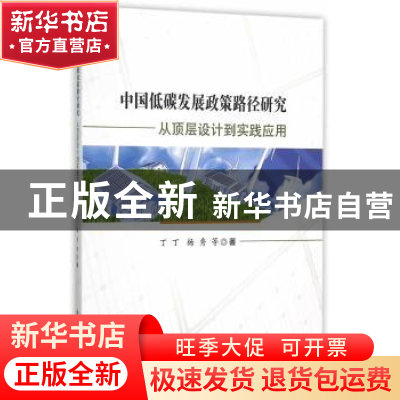 正版 中国低碳发展政策路径研究:从顶层设计到实践应用 丁丁 等