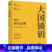 [正版]大国锁钥 国产替代浪潮 总结自主创新 国产替代产业规律 展现客观 真实的中国制造蜕变之路 经济通俗读物 书籍