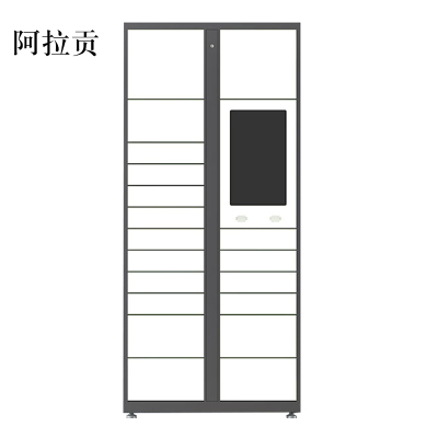 阿拉贡智能快递柜小区快递自提柜派件柜室外寄存柜信报箱储物柜主柜19格