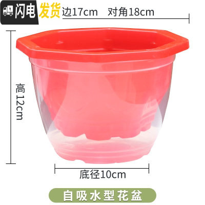 三维工匠花盆大号塑料透明罩懒人自动吸水花盆绿萝专用储水双层 [3个装]8角红盆+透明罩+棉绳 大花盆容器