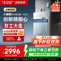 史密斯佳尼特[小精钢TCS5]16升精钢燃气热水器 国家补贴 JSQ31-TCS5 安全守护 持久恒温大水量 新品