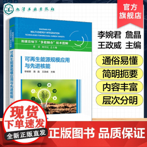 可再生能源规模应用与先进核能 双碳目标下多能融合技术图解 可再生能源及先进核能领域科技创新 主要技术清单及发展路线图参考