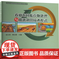 农业农村废弃物处理与循环利用技术模式 9787109317086 中国农业出版社