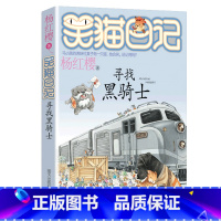 17.寻找黑骑士 [正版]任选 笑猫日记全套28册全集远方的大象戴口罩的猫杨红樱系列故事书小学生课外阅读书籍8-15岁转