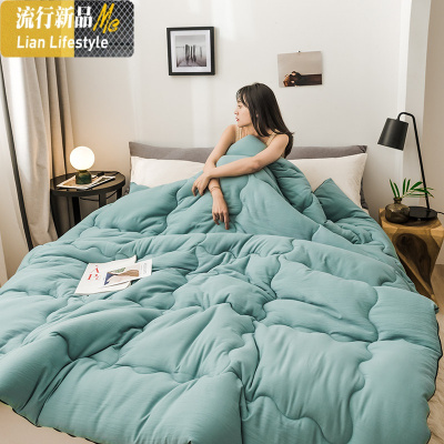 被子冬被加厚保暖棉被芯空调被单人宿舍被被褥春秋冬被四季通用 三维工匠
