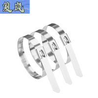 复岚 不锈钢扎带 4.6*600mm/根