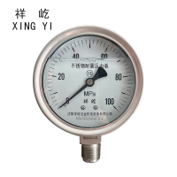 祥屹 不锈钢耐震压力表 YN100BF 块