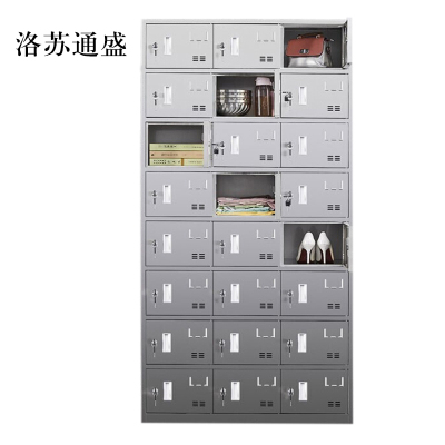 洛苏通盛不锈钢员工储物柜文件柜存放柜子更衣柜存包柜二十四更衣柜常规款