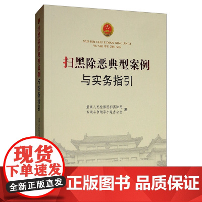 正版 扫黑除恶典型案例与实务指引 最高人民检察院扫黑除恶专项斗争领导小组办公室 扫黑除恶办案实务法律书籍中国检察出版