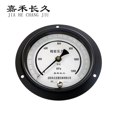 嘉禾长久/精密压力表轴向带边/YB150ZT 0.4级 0-1000KPA/台