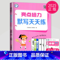 三年级下 语文 人教版 小学三年级 [正版]2024亮点给力计算天天练三年级上册数学三上苏教版SJ江苏小学3年级上学期小