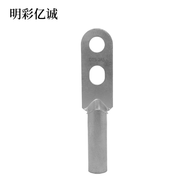 明彩亿诚 镀锡铜鼻子双孔 DTS-2A5 个