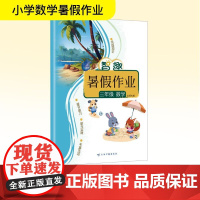 智趣暑假作业 三年级 数学 北师大版 李兵 编 小学教辅文教 正版图书籍 云南科技出版社