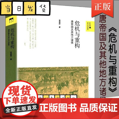 危机与重构 唐帝国及其地方诸侯 李碧妍 多元对话系列 安史之乱