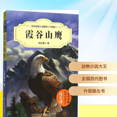 [M]霞谷山鹰-9787539786704