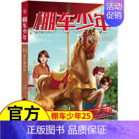 [中英双语·第4辑]25.游乐园探险 [正版]棚车少年中英双语全套第一二三四季500个高频单词写给孩子励志探险美国儿童文