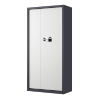 湘渭指纹电子保密柜钢制密码文件柜档案柜矮柜资料柜办公柜通门灰白色:国保指纹锁