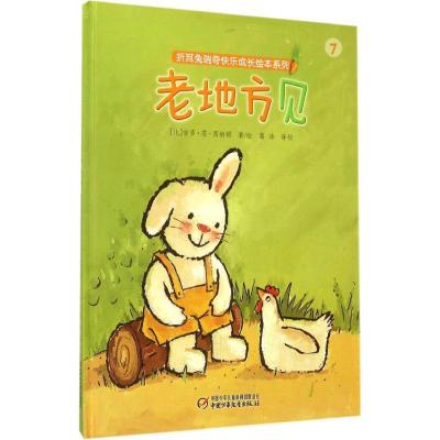 正版新书]折耳兔瑞奇快乐成长绘本系列?老地方见吉多·范·西纳顿9