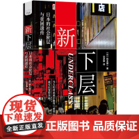 新下层 日本的社会阶层与贫困遗传 洞察阶层跨越与遗传 寻求解决之道 社会科学 社会学书籍