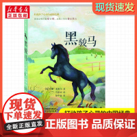 黑骏马(英)安娜·塞维尔 著 马爱农 译打动孩子心灵的动物经典 儿童文学名著二三年级四五六年级小学生课外书寒暑假阅读物故