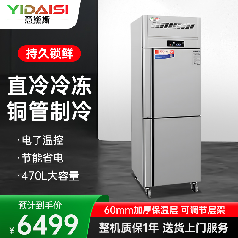意黛斯(YIDAISI)商用立式二门冰箱冷柜 两门冷藏大容量展示柜 饭店酒店专用直冷冷冻款YDS-ZSZLLC-0.5D