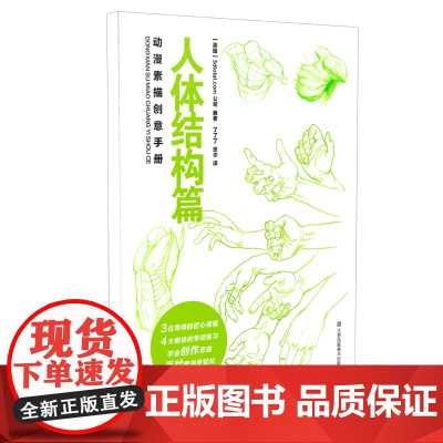动漫素描创意手册-人体结构篇