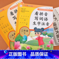 [正版]看拼音写词语生字注音二年级上下册2本生字词语手册同步训练人教版语文拼音练习册专项训练辅导资料看拼音写词语二年级