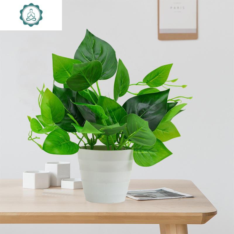 封后 小号白盆绿萝套装仿真植物
