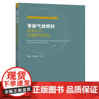 零碳气体燃料预混火焰传播特性研究陈旭赵文彬著东南大学出版社