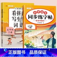 同步练字帖+看拼音写词语 六年级下 [正版]五年级下册语文同步练字帖人教版写好中国字小学每日一练小学生英语衡水体5下学期