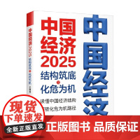 中国经济 2025 结构筑底与化危为机 王德培 著 经济