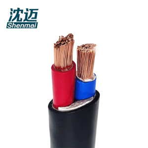 沈迈 铜芯软电缆 ZR-YJVR-0.6/1KV-2*2.5mm² /米