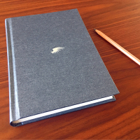 伽利略的苦恼:《嫌疑人X的献身》之后的故事