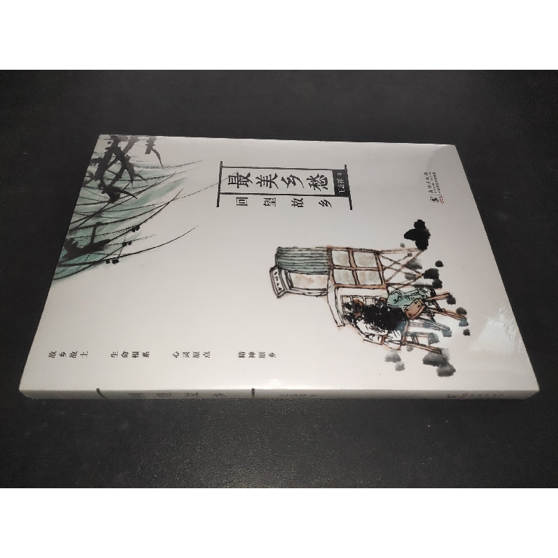 正版新书]最美乡愁:回望故乡王志祥9787511059093
