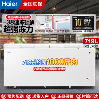 海尔商用冷柜卧式大容量全冷冻冷藏转换电子控温719升BC/BD-719GHEP