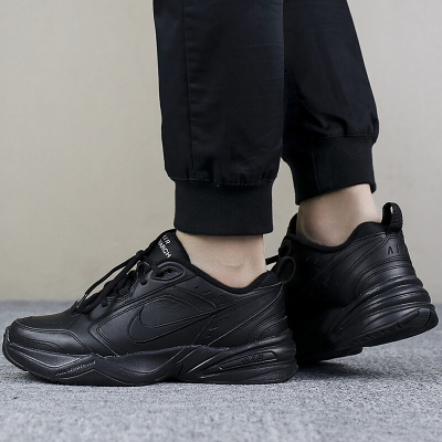 耐克(NIKE)休闲鞋男鞋新款轻便舒适透气日常训练跑步运动鞋 415445-001 ZP